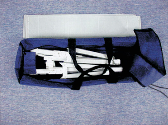 Carry-bag-inside.jpg